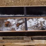 Niebieskooki "Książę Lodu". Tajemnice grobowca ujawnione