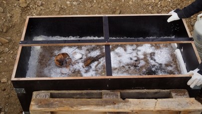 Niebieskooki "Książę Lodu". Tajemnice grobowca ujawnione