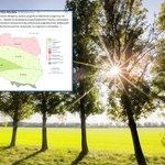 Niebo pełne błękitu, deszczu jak na lekarstwo. Nieco słabiej na północy