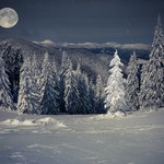 Niebo w lutym. Dzień będzie dłuższy, zimowe gwiazdozbiory na widnokręgu, Wenus na horyzoncie!