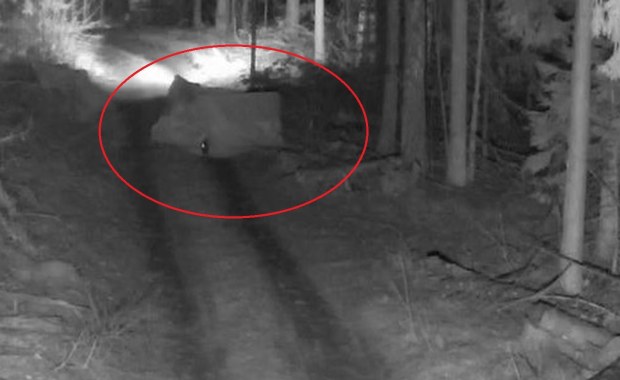 Niebywała pomysłowość migrantów. Nie uwierzysz, co zrobili, by przekroczyć granicę