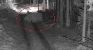 Niebywała pomysłowość migrantów. Nie uwierzysz, co zrobili, by przekroczyć granicę