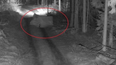 Niebywała pomysłowość migrantów. Nie uwierzysz, co zrobili, by przekroczyć granicę