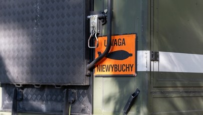 Niecodzienna akcja saperów. Przyroda zajęła się niewybuchem po swojemu