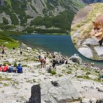 Tatry Niecodzienne spotkanie w polskich Tatrach. "Ktoś został bez śniadania"