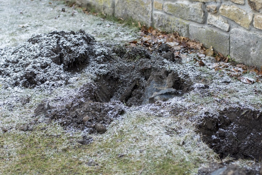 Niecodzienne znalezisko na placu kościelnym sanktuarium w Krzeszowie /Sanktuarium w Krzeszowie /
