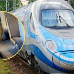Niecodzienny pasażer w Pendolino. Owca w pampersie wzbudziła sensację