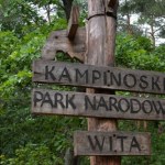 Niecodzienny widok w Kampinowskim Parku Narodowym. "Utraciło barwę z wyjątkiem oczu"