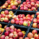 Niedobór jabłek na rynku winduje ich ceny. Rośnie też eksport