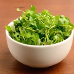 Niedoceniana, bo nadal mało znana. Chroni wątrobę, serce i kości dla seniorów powinna być obowiązkowa