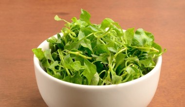 Niedoceniana, bo nadal mało znana. Chroni wątrobę, serce i kości dla seniorów powinna być obowiązkowa