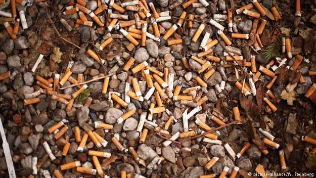 Niedopałki papierosów są problemem bałtyckich plaż /fot. picture-alliance/W. Steinberg /Deutsche Welle