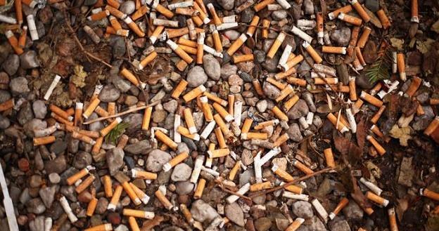 Niedopałki papierosów są problemem bałtyckich plaż /fot. picture-alliance/W. Steinberg /Deutsche Welle