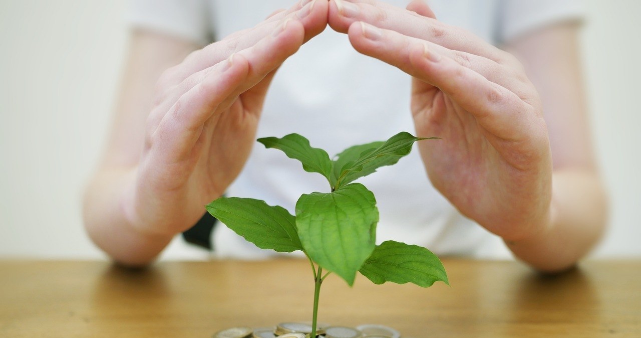 Niedopełnienie obowiązków informacyjnych przez kredytodawcę może dawać klientowi prawo do skorzystania z sankcji kredytu darmowego (SKD) /materiały promocyjne