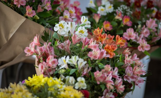 ​Nieduża gmina, duże pieniądze. Na co burmistrz Wąsosza wydał ponad 75 tys. w kwiaciarni?