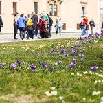 Niedziela ciepła i słoneczna. Potem nadejdzie ochłodzenie