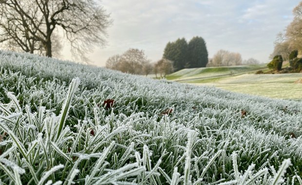 Niedziela zimna, z silnym wiatrem. W nocy przymrozki