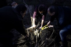 ​Niedźwiedź wpadł w sidła. Uwolniono go po 11 godzinach