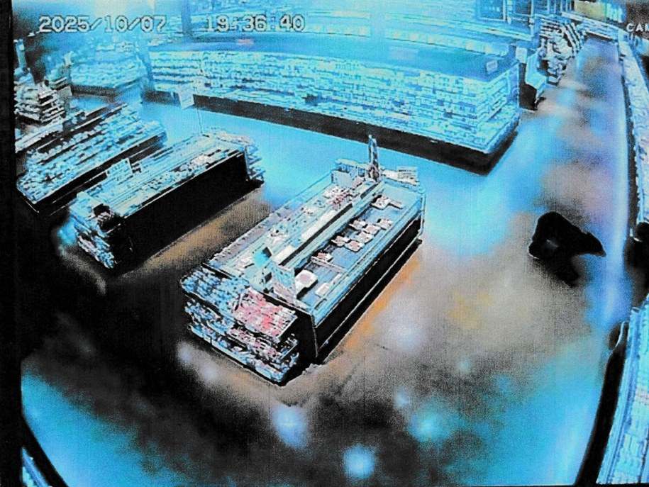 Niedźwiedź wśród owoców i ryb – przerażający incydent w Japonii /STR /East News/AFP