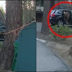 Niedźwiedź zaklinował się w aucie. Policja wpadła na pomysł