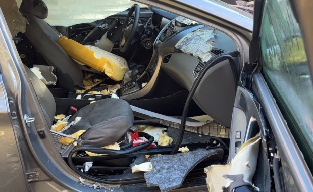 Niedźwiedź zatrzasnął się w samochodzie. Właścicielowi pozostawił "pamiątkę" [WIDEO]