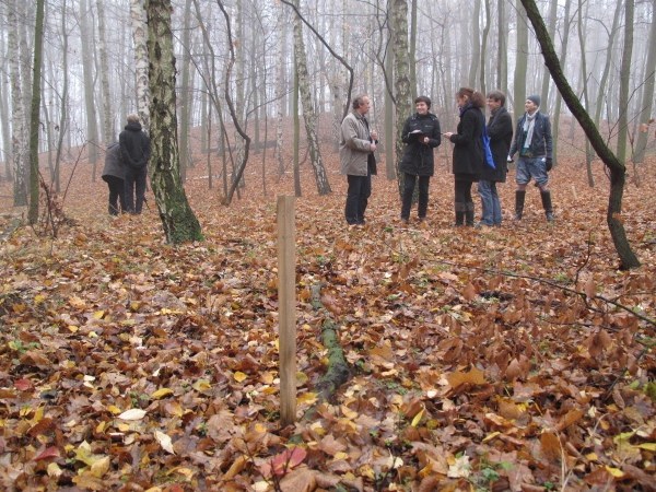 Niedźwiedziarnia powstanie na terenie poznańskiego zoo /Adam Górczewski /RMF FM