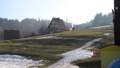Niedźwiedzie nie śpią i buszują po górach 
