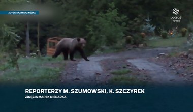 Niedźwiedzie podchodzą coraz bliżej. Mieszkańcy chcą je odstraszać