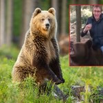 Niedźwiedzie w Rosji. Ich ochrona w dużej mierze to fikcja