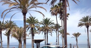 Niefortunny spacer z psem. Poszukiwany przez Polskę został zatrzymany na Teneryfie