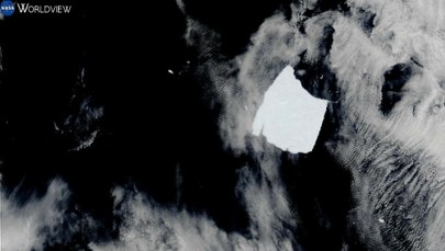 Niegdyś była największą górą lodową świata. Tak umierała