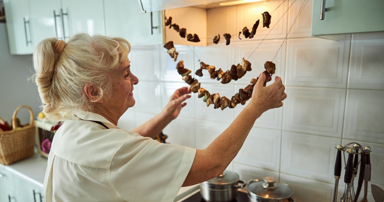 Niektóre grzyby po ususzeniu stają się trujące. /123RF/PICSEL