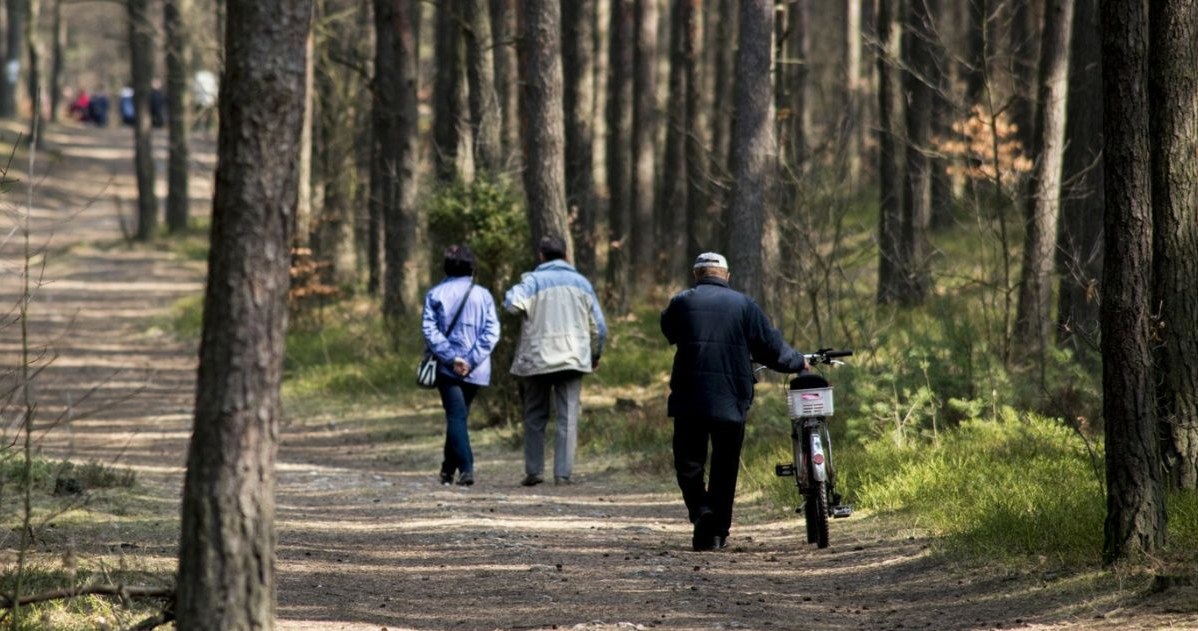 Niektóre kolory przyciągają komary i kleszcze /JAKUB WOSIK/REPORTER /East News