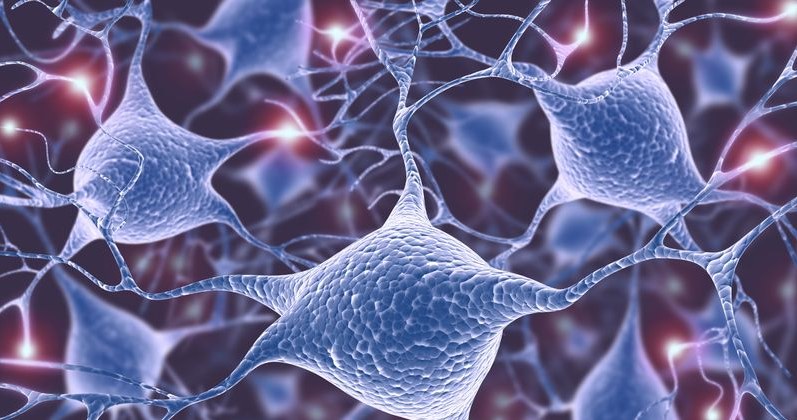 Niektóre neurony mogą się regenerować /123RF/PICSEL