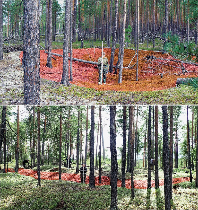 Niektóre pozostałości po prehistorycznej fortecy /E. Dubovtseva/ Piezonka et al., 2023. The world's oldest-known promontory fort: Amnya and the acceleration of hunter-gatherer diversity in Siberia 8000 years ago. Antiquity 97(396)/Open Access /materiały prasowe