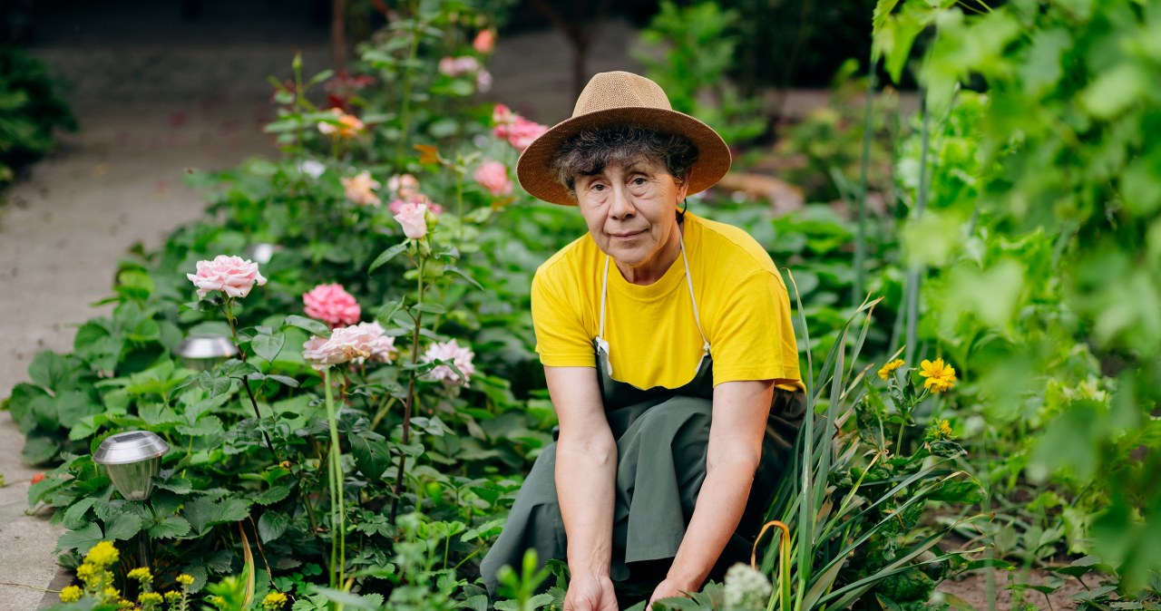 Niektóre przesądy ogrodnicze są wciąż żywe. Co zakopać w ogrodzie na szczęście? /Pixel