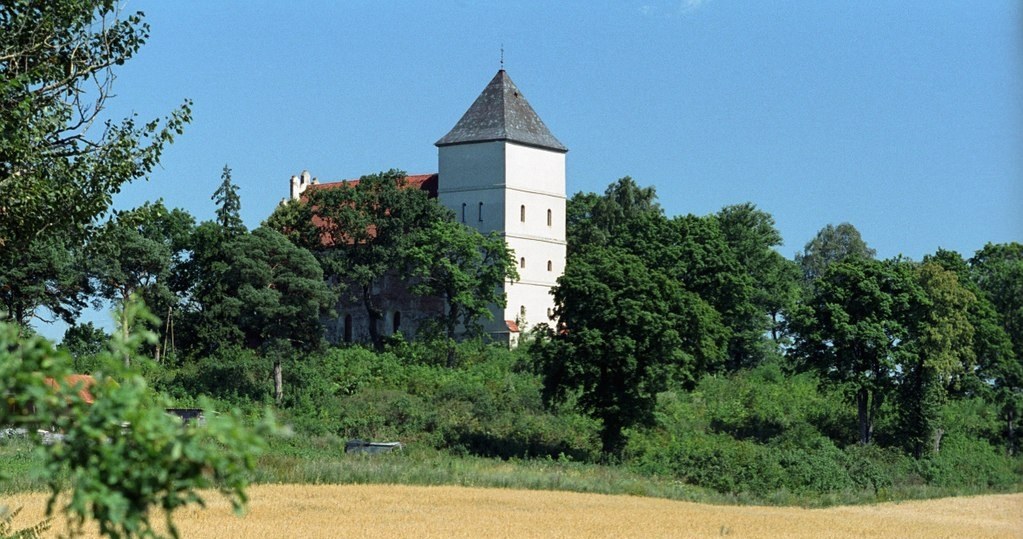 Niektóre zamki wydają się na pierwszy rzut oka zupełnie zwyczajne, a w rzeczywistości to prawdziwe perełki! /Jerzy Strzelecki, CC BY-SA 3.0 /Wikimedia