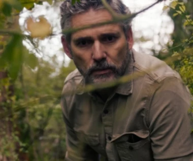 Niekwestionowany hit Netfliksa. Polacy nie mogą się oderwać