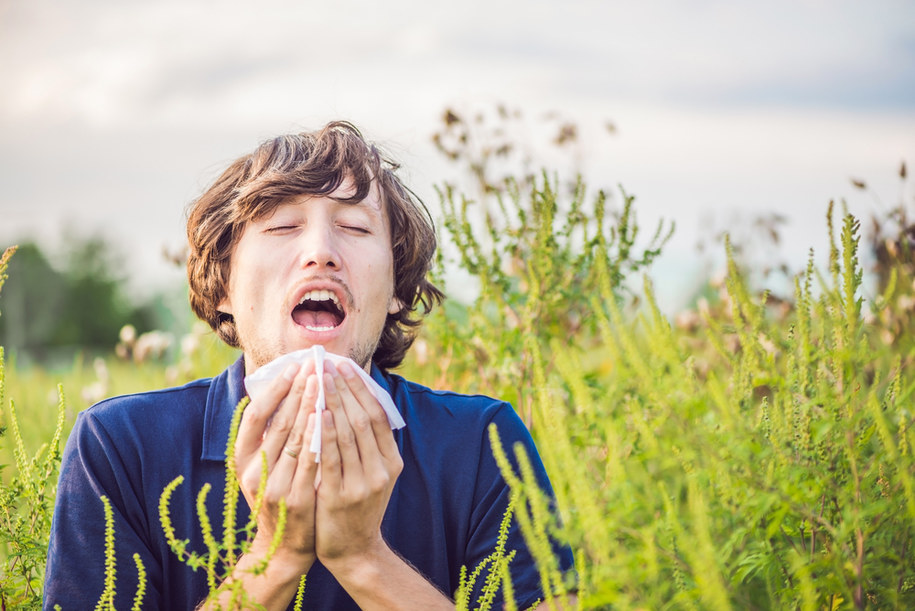 Nieleczona alergia grozi ciężkimi powikłaniami /Shutterstock