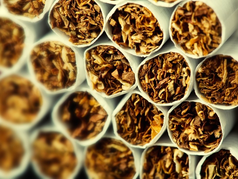 Nielegalna fabryka papierosów generowała milionowe zyski /123RF/PICSEL
