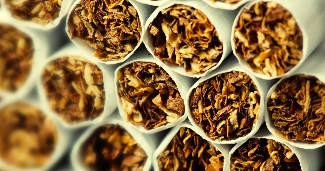 Nielegalna fabryka papierosów generowała milionowe zyski /123RF/PICSEL