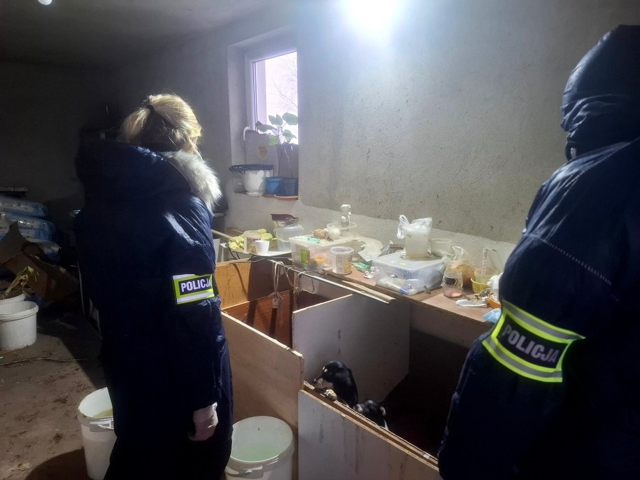 Nielegalna hodowla w gminie Piątek, fot. Policja w Zgierzu