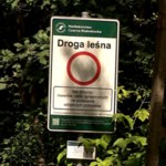 Nielegalna jazda po lasach. Tylko wyższe kary mogłyby odstraszyć piratów