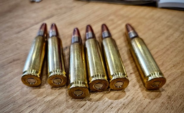 Nielegalne polowanie w pow. pilskim. Dwóch mężczyzn usłyszało zarzuty