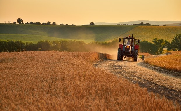 Nielegalne przejęcie ziemi. Ukraiński minister z zarzutami