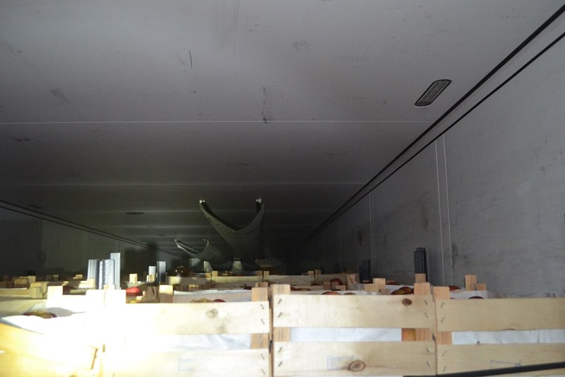 Nielegalni imigranci ukrywali się w ciężarówce przewożącej owoce /Straż Graniczna /