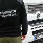 Nielegalni imigranci znalezieni w naczepie polskiej ciężarówki