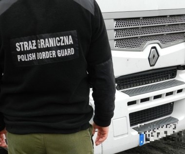 Nielegalni imigranci znalezieni w naczepie polskiej ciężarówki