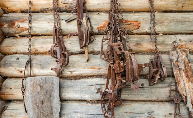 Nielegalnie polował na leśną zwierzynę. Kłusownik w rękach policji