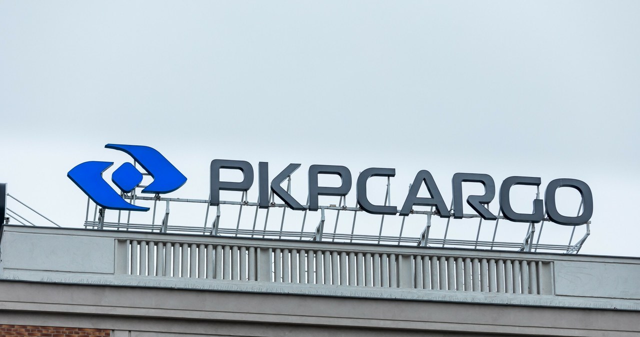 Niemal jedna trzecia pracowników PKP Cargo może trafić na "postojowe" /Arkadiusz Ziółek /East News